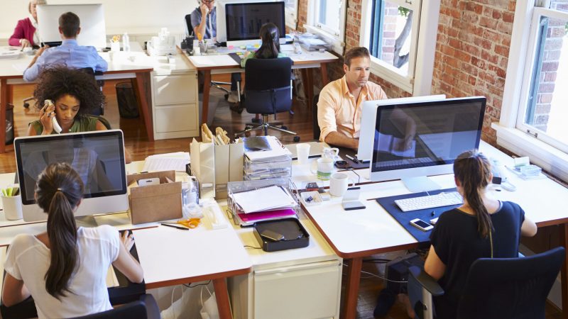 People working at their computers in a small office